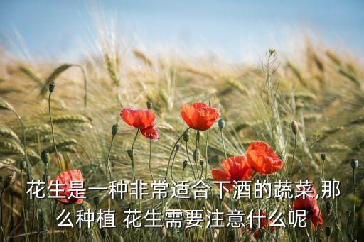 花生為什么要打農藥,打花生草的農藥
