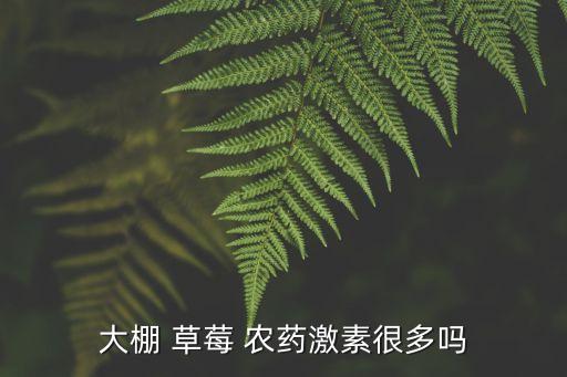 為什么草莓必要打農(nóng)藥,草莓為什么有農(nóng)藥味