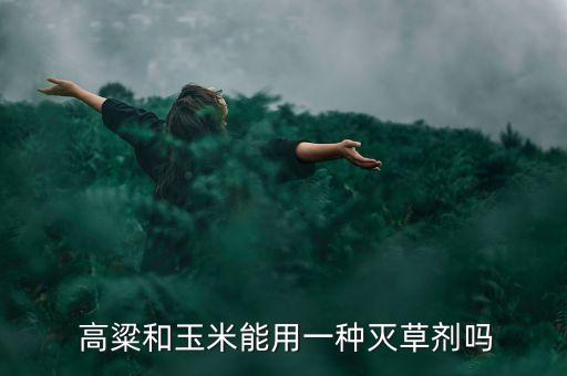  高粱和玉米能用一種滅草劑嗎