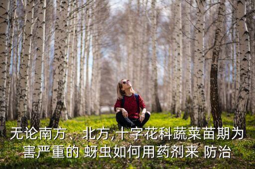 無論南方、北方,十字花科蔬菜苗期為害嚴重的 蚜蟲如何用藥劑來 防治
