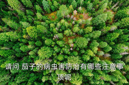 請問 茄子的病蟲害防治有哪些注意事項呢