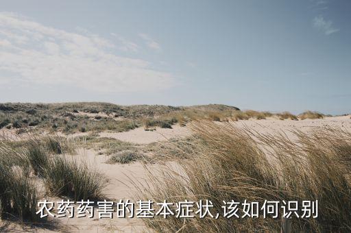 農(nóng)藥為什么打不好,蔬菜為什么要打農(nóng)藥