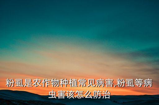 什么農藥殺粉虱最好,菜地用什么農藥殺螺