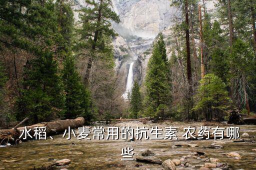  水稻、小麥常用的抗生素 農藥有哪些