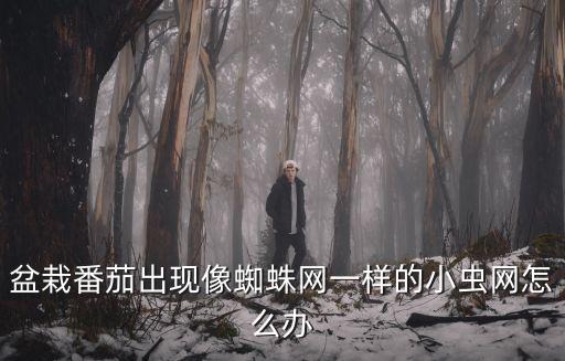 小西紅柿的蟲子怕什么農藥