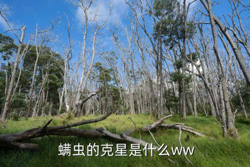殺螨蟲最怕什么農藥殘留