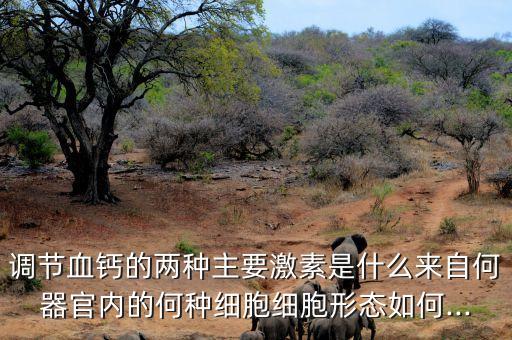 調鈣素是什么農藥,除蟲菊素是什么農藥