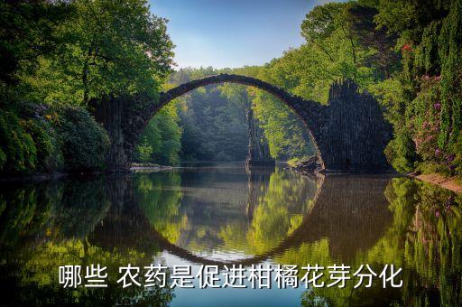 桔子樹(shù)花期用什么農(nóng)藥,柑橘花期用什么農(nóng)藥