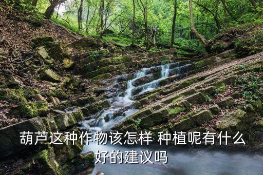 種植葫蘆使用什么農藥,葫蘆種植時間和方法視頻