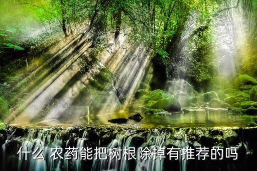 什么 農藥能把樹根除掉有推薦的嗎
