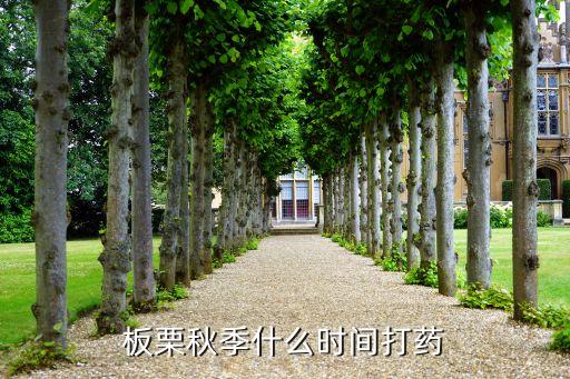 秋天什么時候噴農藥最好,玉米噴農藥最好是什么時候噴