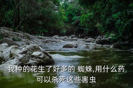 什么農藥能毒死蜘蛛,有什么農藥可以把樹毒死