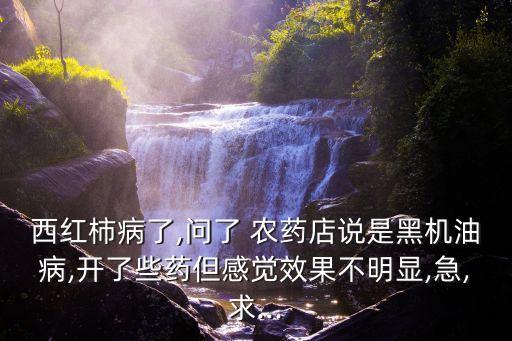 西紅柿病了,問了 農(nóng)藥店說是黑機油病,開了些藥但感覺效果不明顯,急,求...