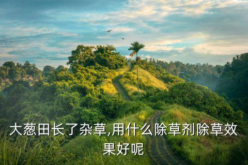 大蔥田長了雜草,用什么除草劑除草效果好呢