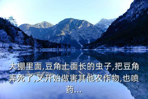 膜翅目昆蟲怕什么農藥