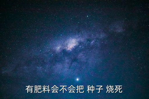 有肥料會不會把 種子 燒死