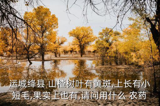 山楂打什么農(nóng)藥高產(chǎn),山楂會不會打農(nóng)藥