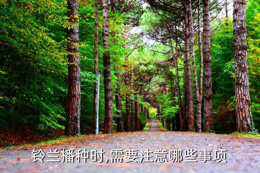 蘭花種子用什么農(nóng)藥,蘭花發(fā)病用什么農(nóng)藥