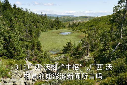 315廣西 沃柑“中招”,廣西 沃柑真的如澎湃新聞所言嗎
