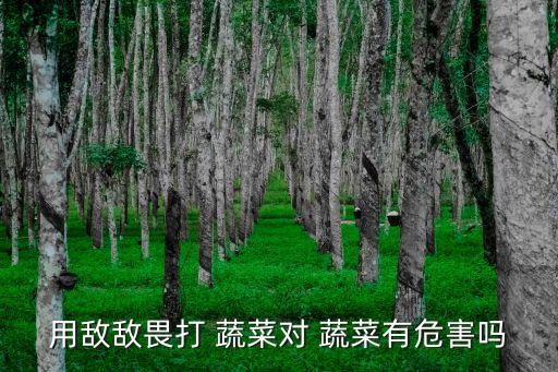 用敵敵畏打 蔬菜對 蔬菜有危害嗎
