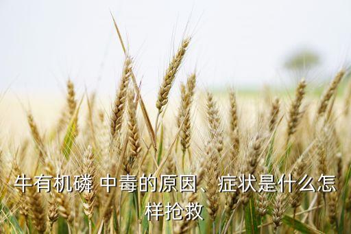 牛有機(jī)磷 中毒的原因、癥狀是什么怎樣搶救