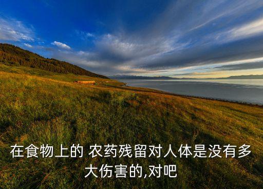 在食物上的 農藥殘留對人體是沒有多大傷害的,對吧