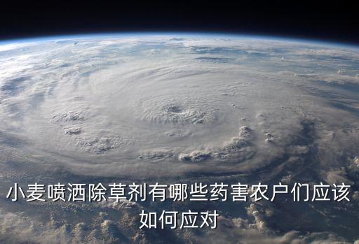 麥苗枯死用什么農藥,什么農藥打在麥苗上羊