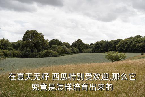 ,摘無籽西瓜吃什么農藥