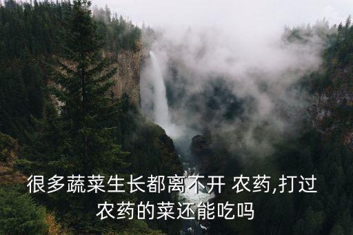 很多蔬菜生長都離不開 農藥,打過 農藥的菜還能吃嗎