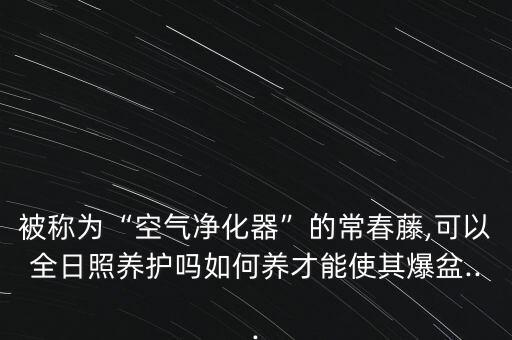 長春藤用什么農藥好,常春藤施什么肥料