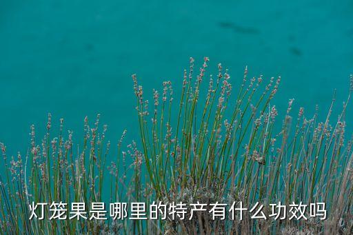  燈籠果是哪里的特產有什么功效嗎