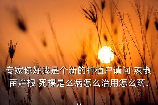 辣椒死棵噴什么農(nóng)藥,辣椒水噴到眼睛用什么解決