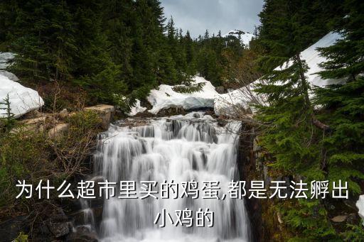有農藥的蛋為什么沒有小雞