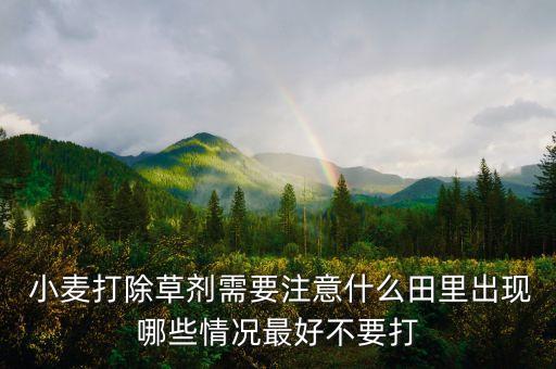 小麥低溫用什么農(nóng)藥,什么農(nóng)藥能把小麥打死