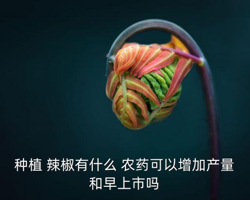 種植 辣椒有什么 農藥可以增加產量和早上市嗎