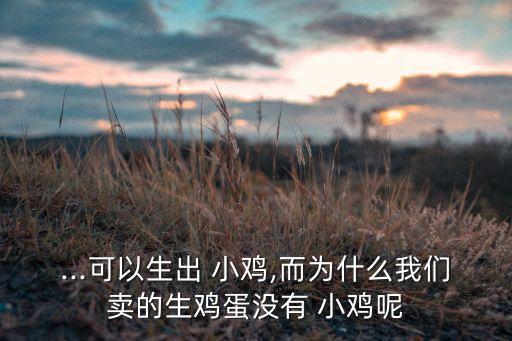 ...可以生出 小雞,而為什么我們賣的生雞蛋沒有 小雞呢