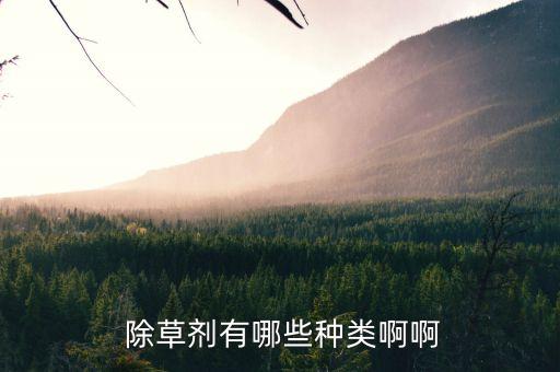 除草一般用什么農(nóng)藥打,荒山除草用什么農(nóng)藥好?