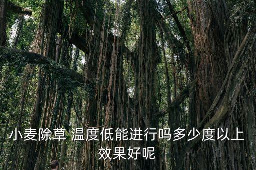 小麥除草 溫度低能進(jìn)行嗎多少度以上效果好呢