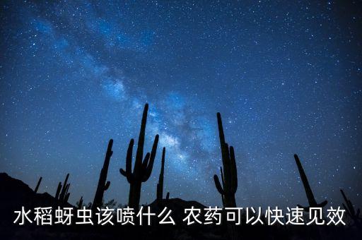 水稻蚜蟲該噴什么 農(nóng)藥可以快速見效
