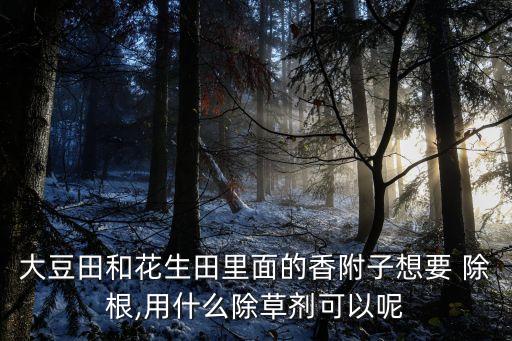 大豆田和花生田里面的香附子想要 除根,用什么除草劑可以呢