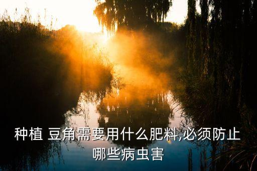 種植 豆角需要用什么肥料,必須防止哪些病蟲害