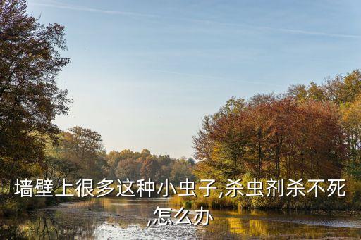 墻壁上很多這種小蟲(chóng)子,殺蟲(chóng)劑殺不死,怎么辦