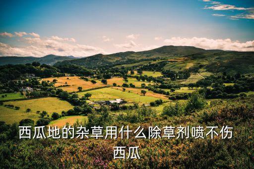  西瓜地的雜草用什么除草劑噴不傷 西瓜