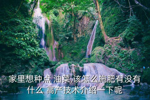 油菜高產噴什么農藥好用,油菜春季打什么農藥