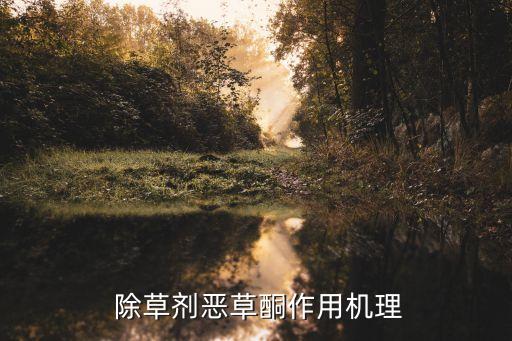  除草劑惡草酮作用機理