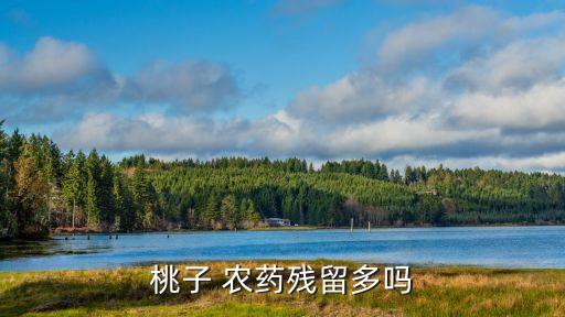 中國水果為什么農(nóng)藥多呢,中國農(nóng)藥使用量為什么第一