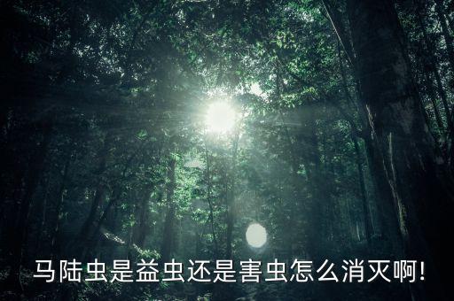 什么農藥能有效的馬陸,馬陸用什么農藥