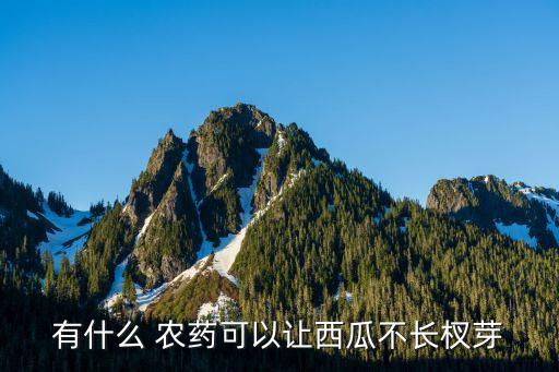有什么 農藥可以讓西瓜不長杈芽