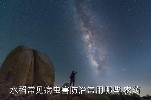水稻常見病蟲害防治常用哪些 農藥