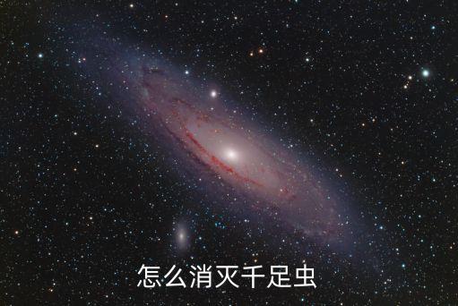 怎么消滅千足蟲